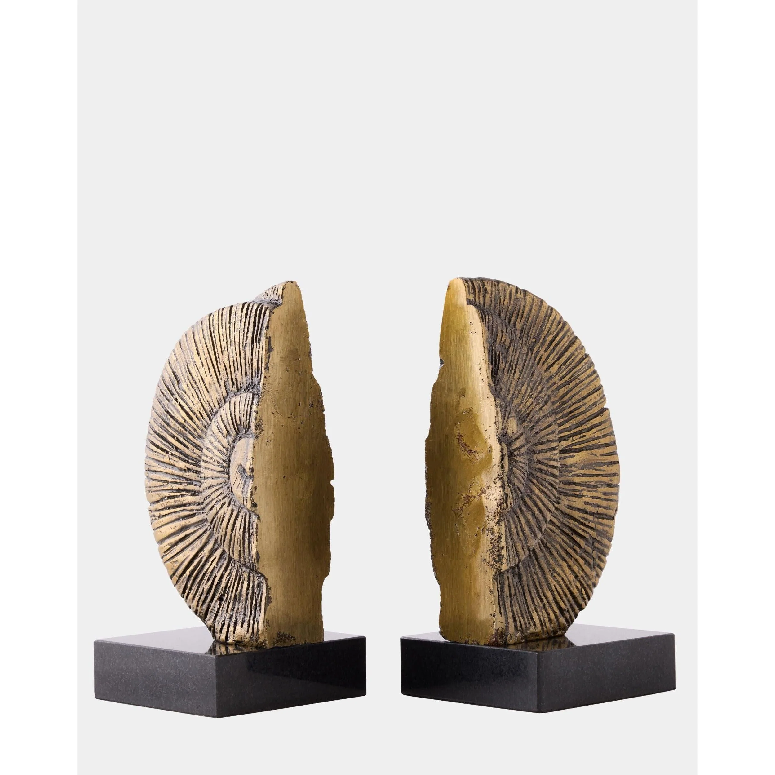 Global Views Ammonite Shell Bookends - Image 3