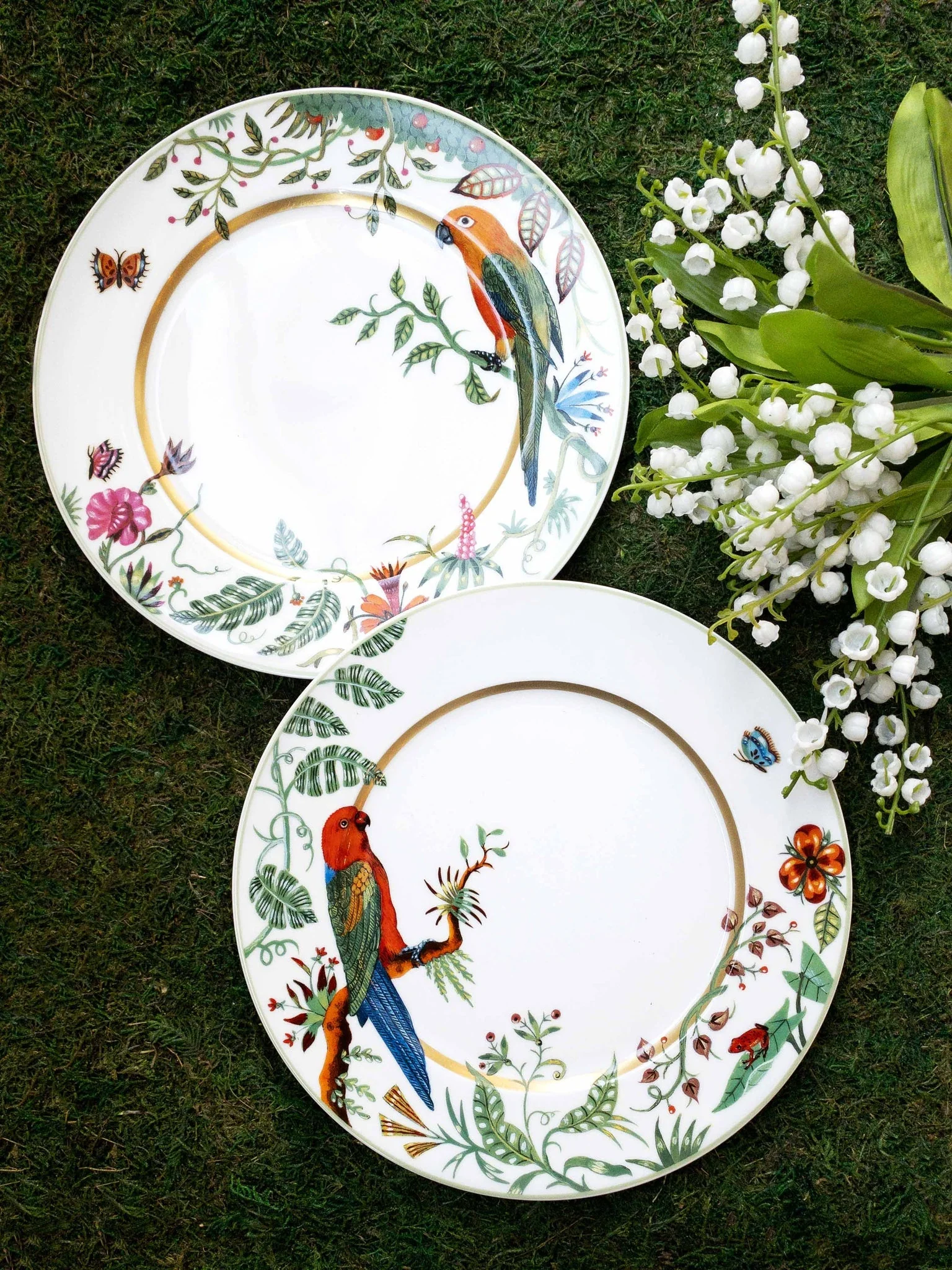 Haviland Alain Thomas Red Parrot Dessert Plate - Image 3