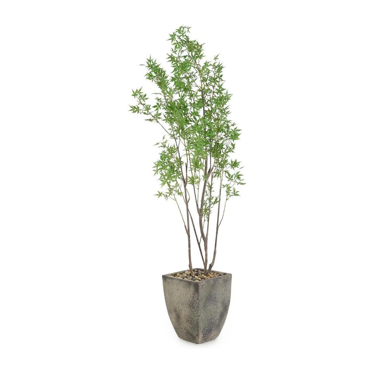 John Richard Decor Atlantis Maple
