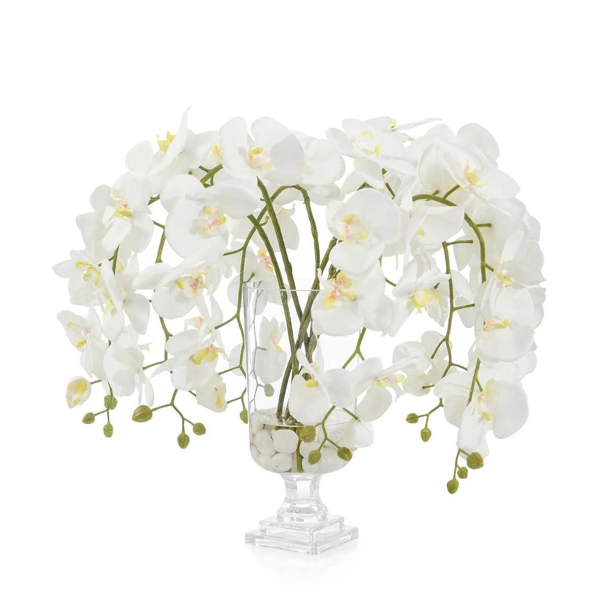 John Richard Decor Glamorous Phals