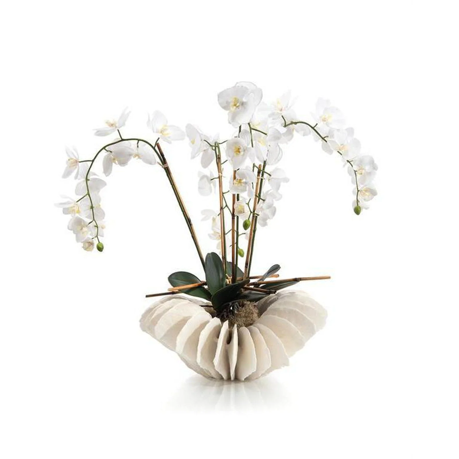 John Richard Decor Sea Coral Orchids
