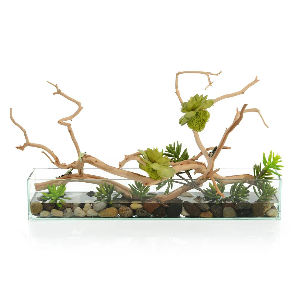 John Richard Decor Succulent Tree