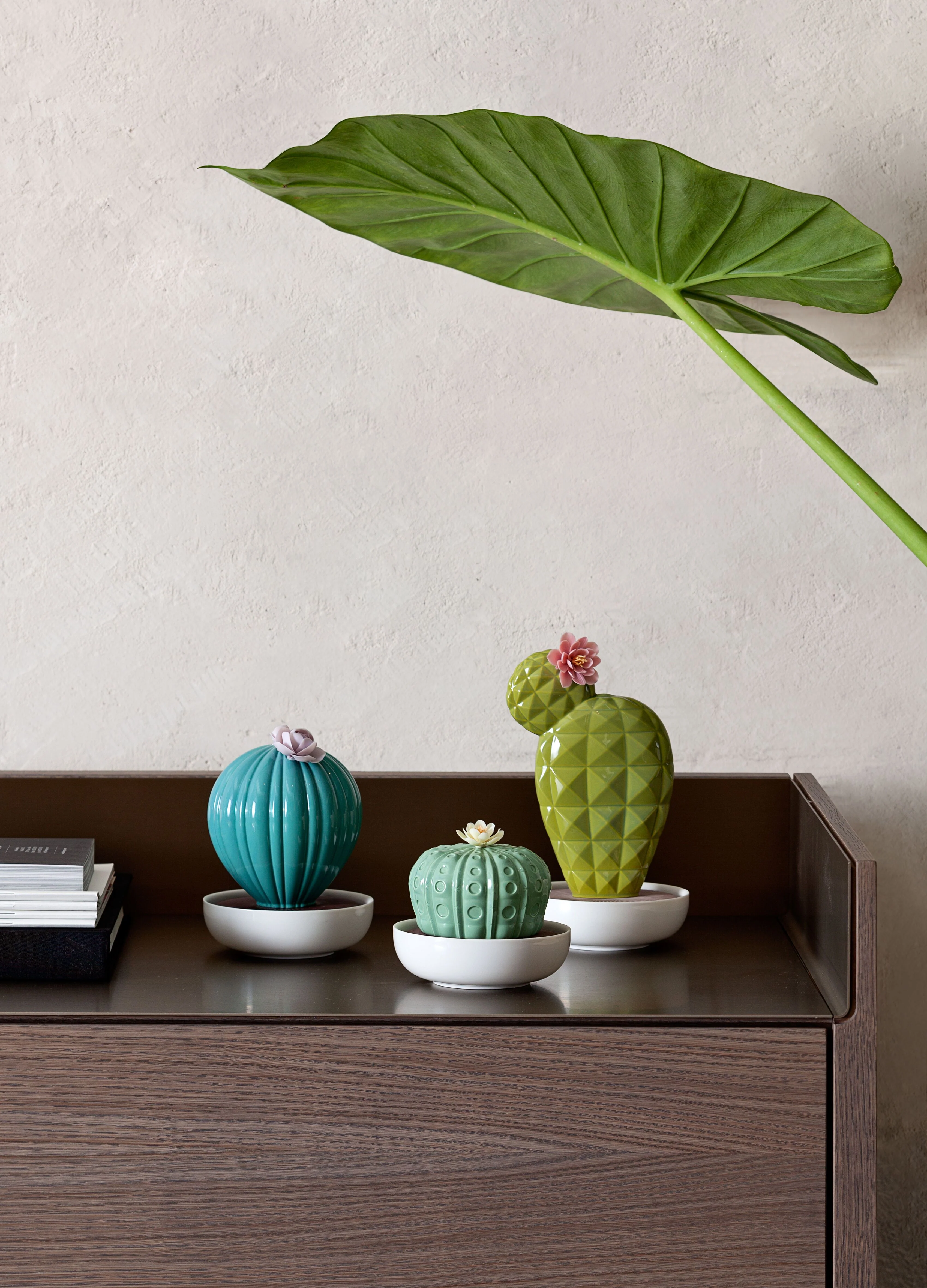 Lladro Astrophytum Cactus Diffuser - Image 3